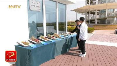 祖國大北疆 風(fēng)光無限好——“十四五”高質(zhì)量發(fā)展巡禮 | 追風(fēng)逐日 沙漠種出新“長(zhǎng)城”