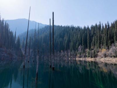 哈薩克斯坦：飛閱卡因德湖倒立森林