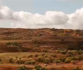 絕美！內蒙古草原金秋換裝