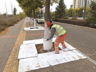 保障绿化植物安全越冬