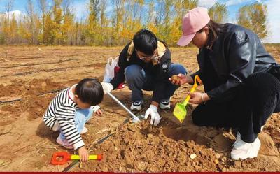 路邊“撿”來的旅游熱——多倫縣豐收季激活鄉(xiāng)村旅游新業(yè)態(tài)