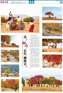 走！楓葉正紅，踏秋去！
