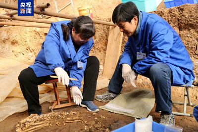 考古學(xué)家確認漢文帝霸陵出現(xiàn)“進口寶馬”