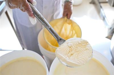 影像非遺｜野草生香乳酪甜