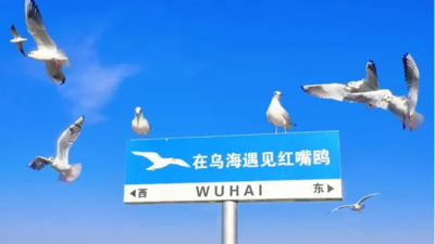 烏海又上央視！這次是因為→