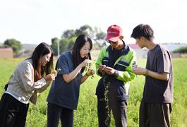 烏蘭察布：從一粒草種到萬畝豐收