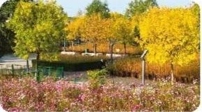 濕地公園“森呼吸”