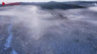 黑龙江黑河：百里雾凇绘就生态画卷
