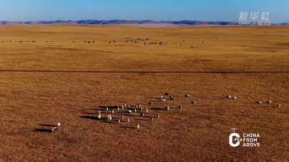瞰中国｜内蒙古：金原牧吟
