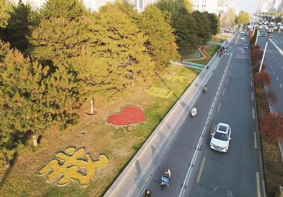 枯枝落叶变身 鹿城巧换“霓裳”