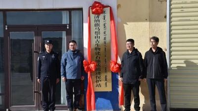 全國首個！馬鬃山邊境警務室掛牌古生物化石保護站