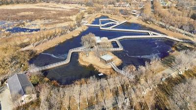 南湖濕地公園初冬景致獨特  