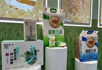 兴安盟大米产业迈向高质量发展新“稻”路