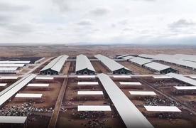 乌拉特前旗高端奶产业园5座牧场投用