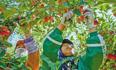 芳華綻放賦能鄉(xiāng)村振興
