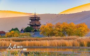 甘肅敦煌：大漠秋色醉游人