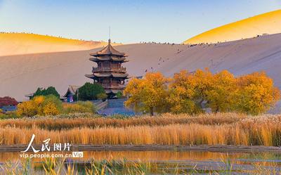 甘肅敦煌：大漠秋色醉游人