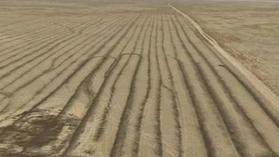 快來看！二連浩特三北工程如何讓邊境線披上“綠衣裳”