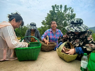 1200億元深耕中原！中國(guó)人壽助力河南區(qū)域經(jīng)濟(jì)高質(zhì)量發(fā)展