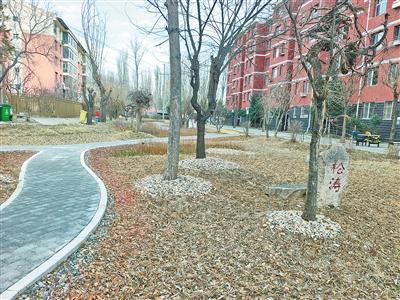 海綿潤，環(huán)境更美了！