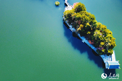 初冬庐山醉游人