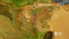 瞰中國(guó)｜內(nèi)蒙古：四季烏審