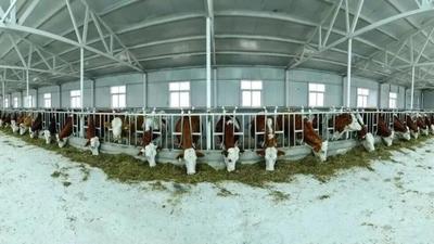 引進人才1570人！通遼市“十四五”教育科技人才一體化發(fā)展成果豐碩