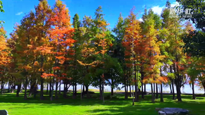 冬日大理別樣美：在洱海畔邂逅“天水一色”