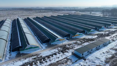 “农业+旅游”玩出新花样！这个嘎查不仅有香甜的百香果，还有爆款打卡点