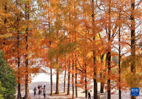 初冬時(shí)節(jié)，神州大地開啟“美顏”模式