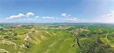 “揭榜掛帥”寫下防沙治沙新答卷