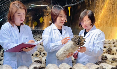 內蒙古農科院工作人員對菌類種植戶進行提質增收指導
