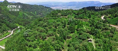 不同地域、獨具特色、歷史悠久 中國6項全球重要農(nóng)業(yè)文化遺產(chǎn)獲授牌