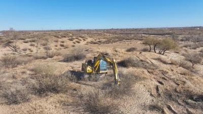 秋冬植绿“上线”！为科尔沁沙地歼灭战“拉满”绿色韧性值