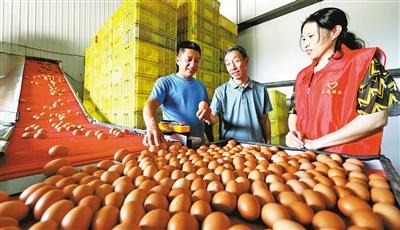 先锋引领促振兴 乡村蝶变展生机