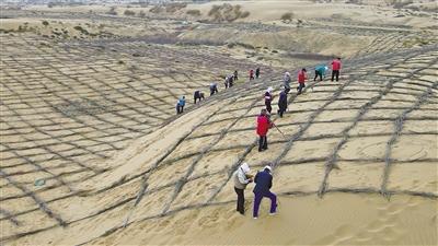治沙一畝 致富一方  