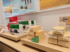 從“后進村”到“示范村” 扎賚特旗五家子村的十年蝶變