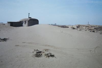 【“感黨恩 聽黨話 跟黨走”群眾教育】寶秀蘭把沙海種成“綠色銀行”