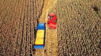 連續(xù)四年超18000000000斤！驗(yàn)證通遼糧食生產(chǎn)的硬實(shí)力！