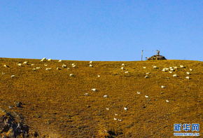 克什克騰草原冬日美景