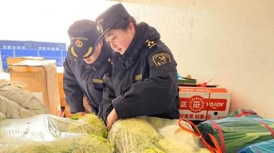 產(chǎn)地啟運 冷鏈直達 口岸驗放！10噸鮮蔬經(jīng)策克口岸高效“出海”