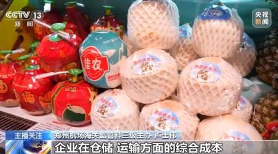 視頻丨從硬聯(lián)通到軟聯(lián)通 中國—東盟3.0版開啟區(qū)域經(jīng)濟(jì)合作新篇章