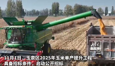 呼和浩特市玉泉區(qū)2025年玉米單產(chǎn)提升工程啟動招標(biāo)