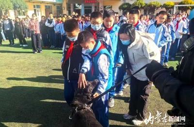 互動(dòng)感拉滿，讓安全知識(shí)“活”起來(lái)！