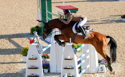 老将刘同晏领衔 内蒙古马术团体夺得铜牌