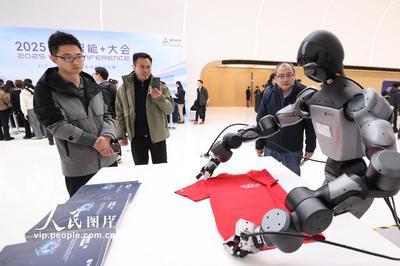 2025人工智能+大会在北京举行