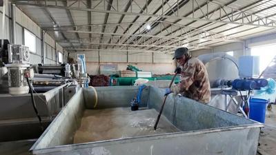 從 “單點種養(yǎng)” 到 “全鏈發(fā)力” ～孿井灘升級產(chǎn)業(yè)鏈助農(nóng)增收