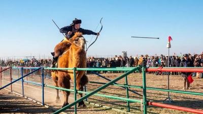 這個比賽不基礎！阿拉善“駝超”解鎖冬日快樂密碼