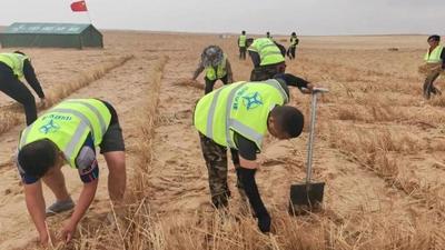沙地里種出“綠銀行” 更種出民族團(tuán)結(jié)好光景 | 聚焦渾善達(dá)克沙地殲滅戰(zhàn)