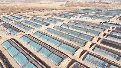 設(shè)施農(nóng)業(yè)賦能鄉(xiāng)村全面振興